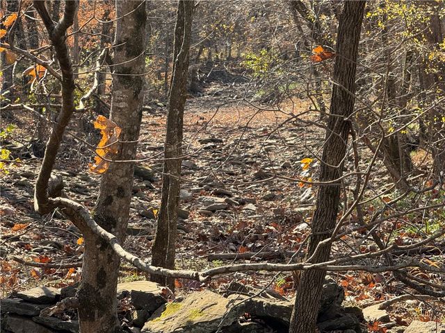 6444 madison, Huntsville, AR 72740