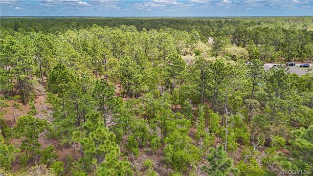 TBD SW 137th Court RD, Dunnellon, FL 34432