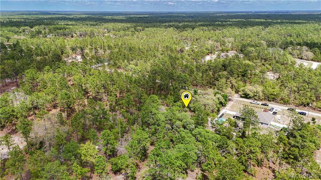 TBD SW 137th Court RD, Dunnellon, FL 34432