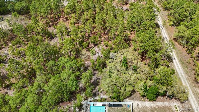 TBD SW 137th Court RD, Dunnellon, FL 34432