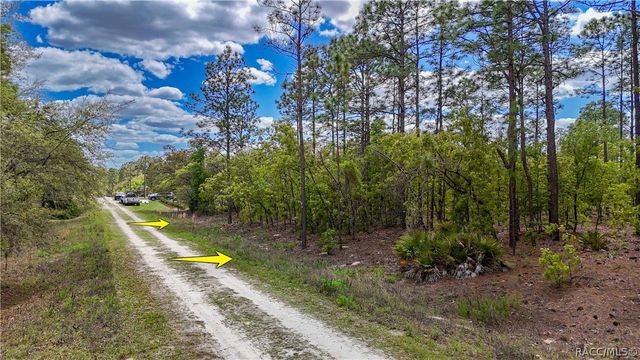 TBD SW 137th Court RD, Dunnellon, FL 34432