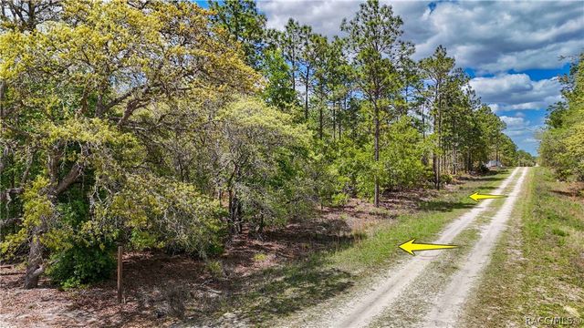 TBD SW 137th Court RD, Dunnellon, FL 34432