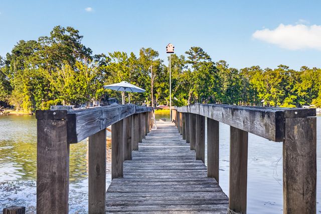 1039 Summerford Lane, Manning, SC 29102