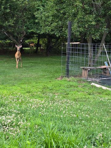 70202 Eldred Road, Bruce Twp, MI 48065