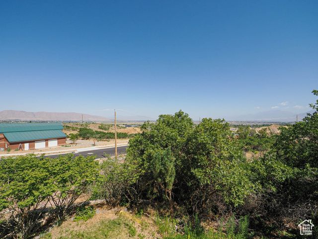 321 E BARDSLEY WAY, Salem, UT 84653