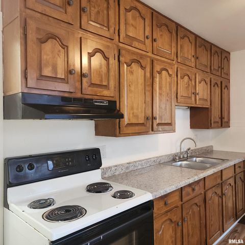 1000 W HANSSLER Place, Peoria, IL 61604