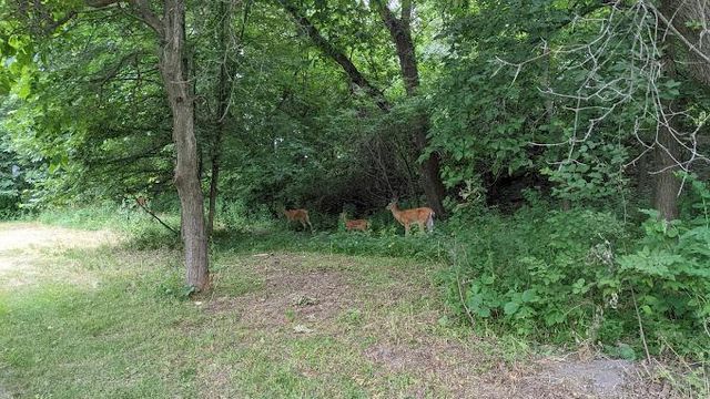 2706 Lakeview Court, Little Canada, MN 55117