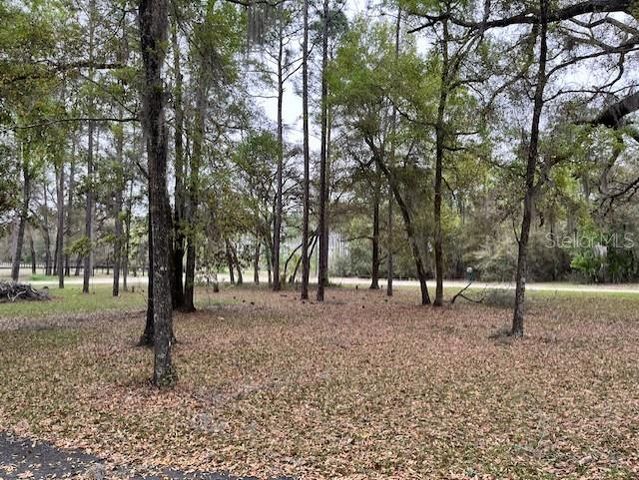 14890 SE 20TH STREET, Morriston, FL 32668