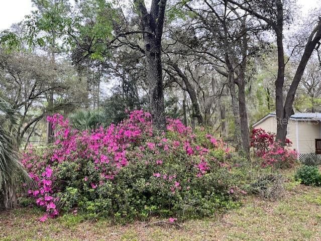 14890 SE 20TH STREET, Morriston, FL 32668