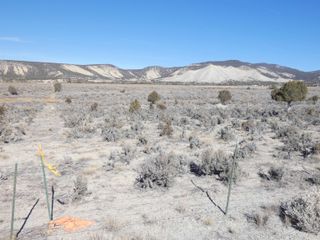 TBD Lot 1 Buckhorn Road, Montrose, CO 81403