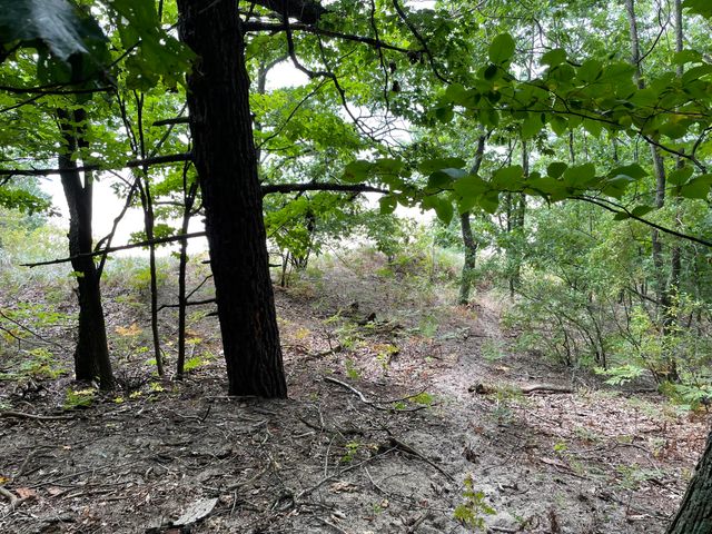 2087 S Glen Road, Benona Twp, MI 49455