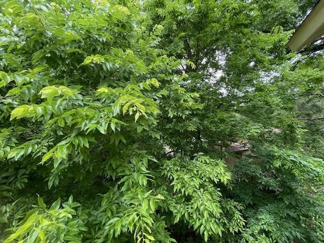 8808 Mountain Ridge DR B, Austin, TX 78759