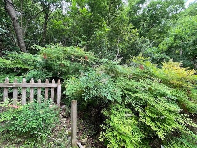 8808 Mountain Ridge DR B, Austin, TX 78759