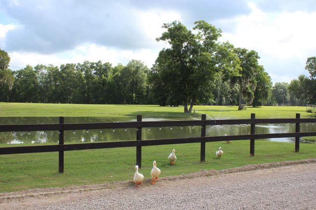768 Ferguson Drive, Cleveland, TX 77327