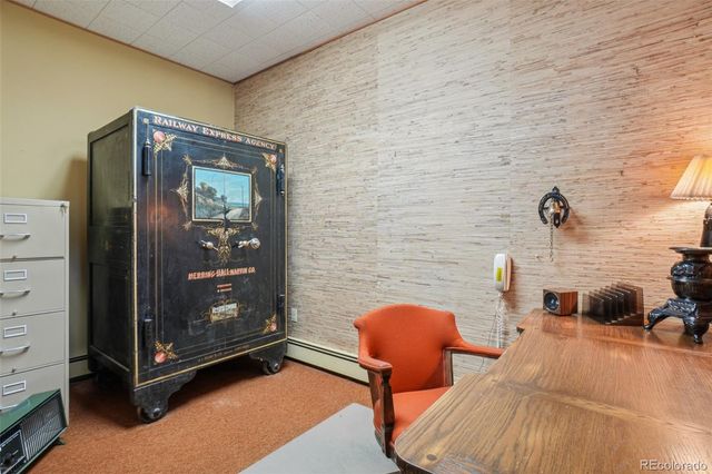 203 9th Street, Georgetown, CO 80444