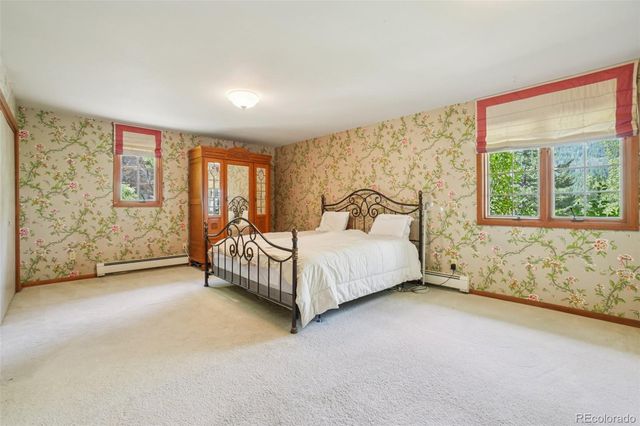 203 9th Street, Georgetown, CO 80444