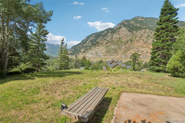 203 9th Street, Georgetown, CO 80444