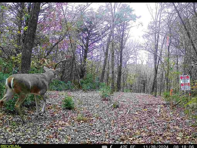TBD 3rd Street, Pottsboro, TX 75076