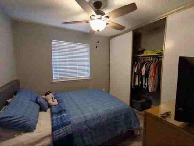 16203 Barbarossa Drive, Houston, TX 77083