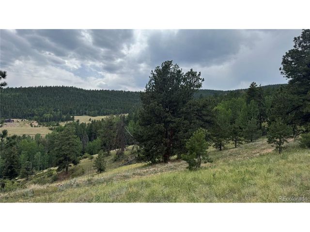 3 Church Placer Rd, Central City, CO 80427