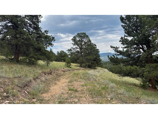 3 Church Placer Rd, Central City, CO 80427