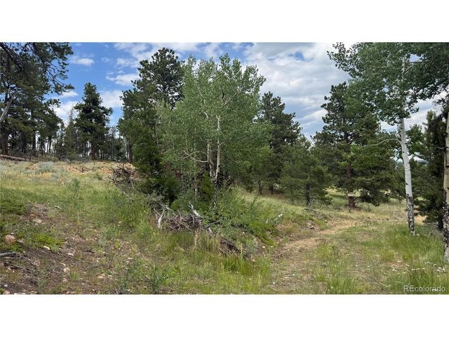 3 Church Placer Rd, Central City, CO 80427