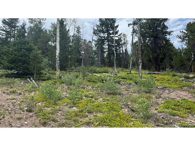 3 Church Placer Rd, Central City, CO 80427
