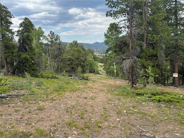 3 Church Placer Rd, Central City, CO 80427