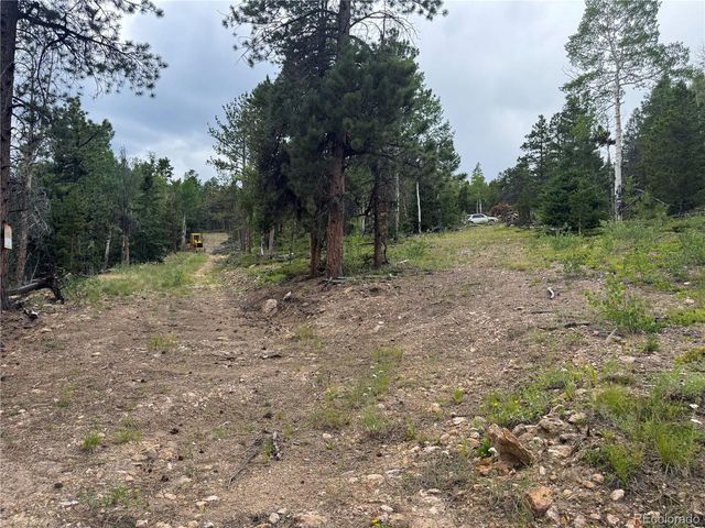 3 Church Placer Rd, Central City, CO 80427