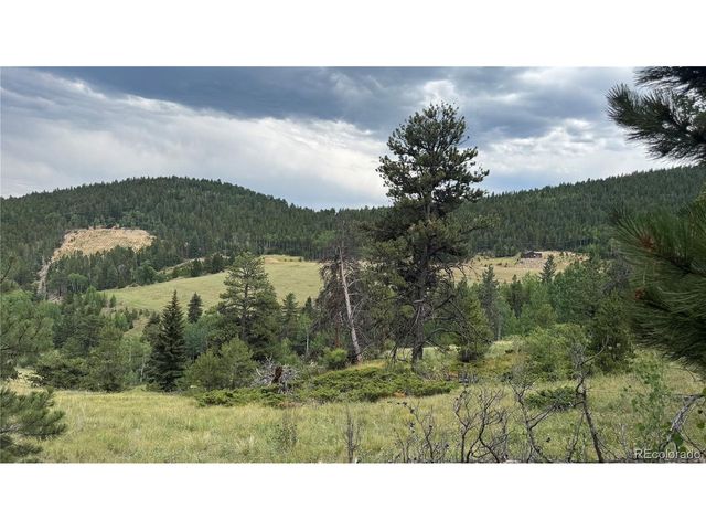 3 Church Placer Rd, Central City, CO 80427