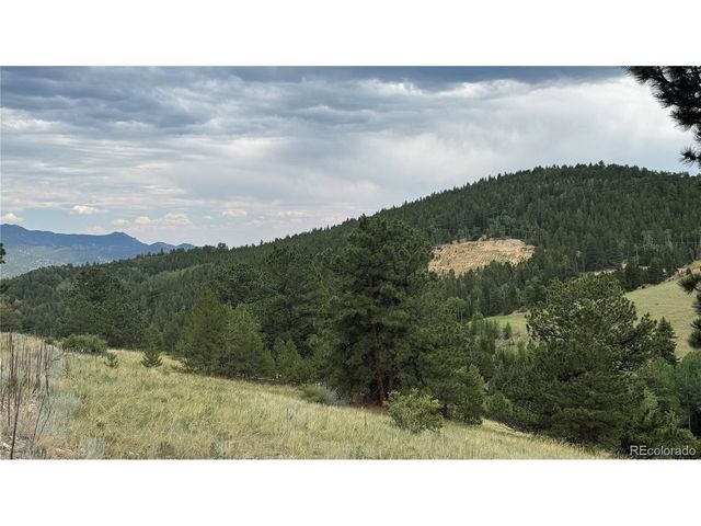 3 Church Placer Rd, Central City, CO 80427