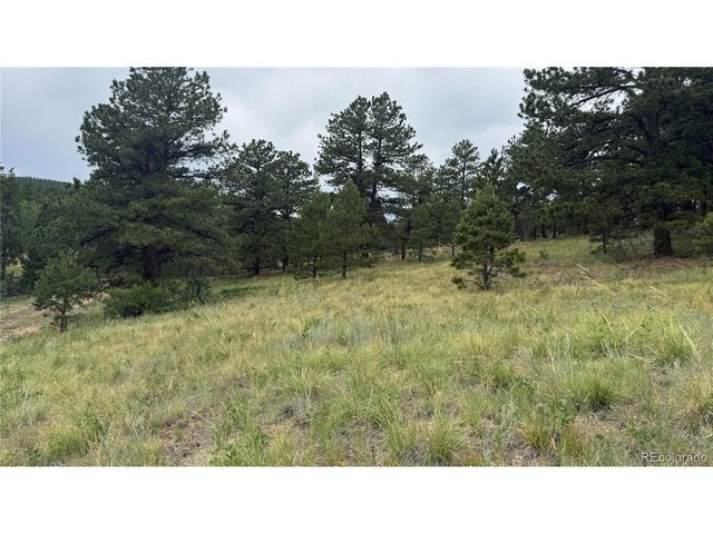 3 Church Placer Rd, Central City, CO 80427
