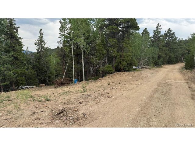 3 Church Placer Rd, Central City, CO 80427