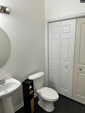 151 Angel Garden Way, Columbia, SC 29223