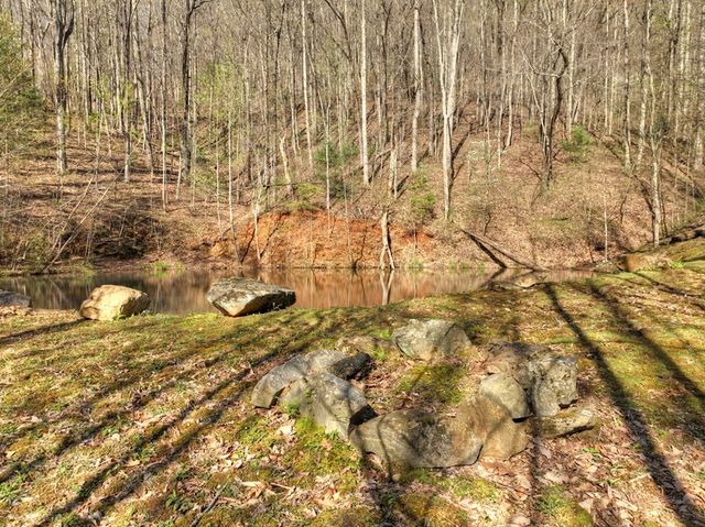 Lot 4 Wilderness Way, Ellijay, GA 30536