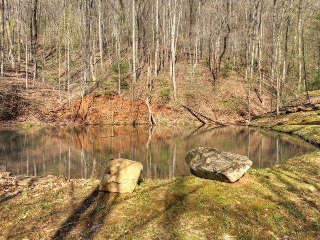 Lot 4 Wilderness Way, Ellijay, GA 30536