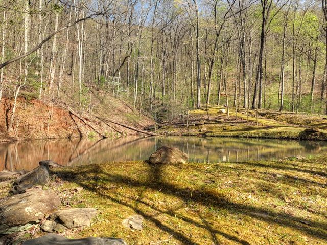Lot 4 Wilderness Way, Ellijay, GA 30536
