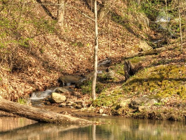 Lot 4 Wilderness Way, Ellijay, GA 30536