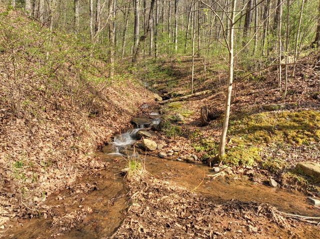 Lot 4 Wilderness Way, Ellijay, GA 30536