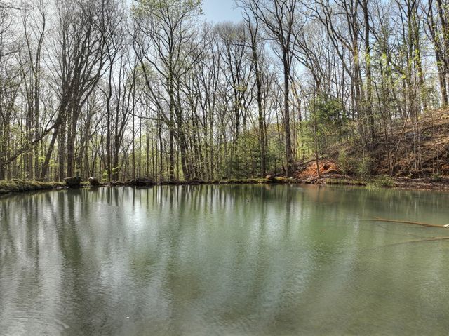 Lot 4 Wilderness Way, Ellijay, GA 30536