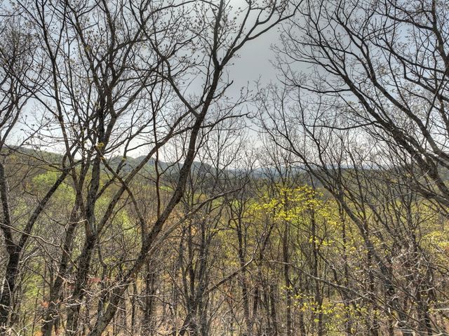 Lot 4 Wilderness Way, Ellijay, GA 30536