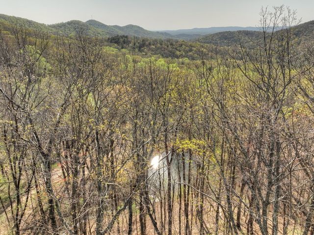 Lot 4 Wilderness Way, Ellijay, GA 30536