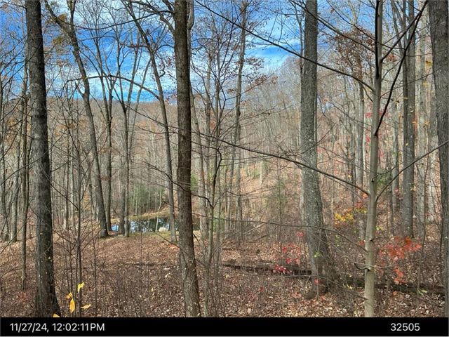 Lot 4 Wilderness Way, Ellijay, GA 30536