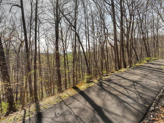 Lot 4 Wilderness Way, Ellijay, GA 30536