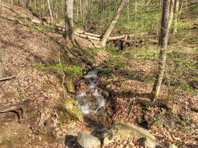 Lot 4 Wilderness Way, Ellijay, GA 30536