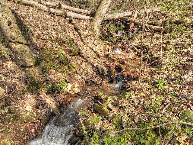 Lot 4 Wilderness Way, Ellijay, GA 30536