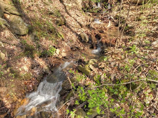 Lot 4 Wilderness Way, Ellijay, GA 30536