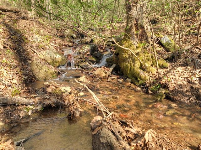 Lot 4 Wilderness Way, Ellijay, GA 30536