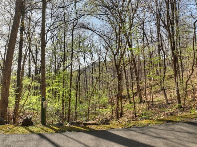 Lot 4 Wilderness Way, Ellijay, GA 30536