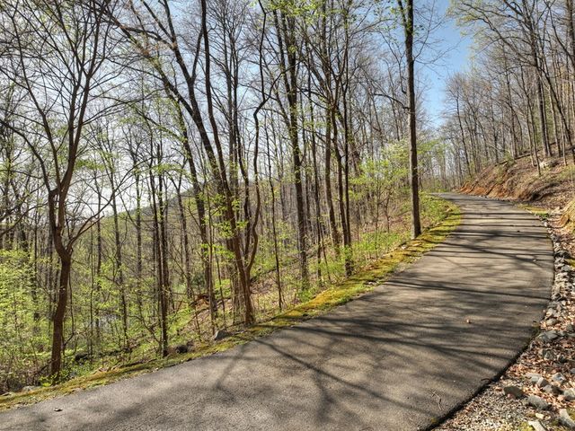 Lot 4 Wilderness Way, Ellijay, GA 30536